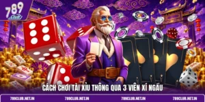 Cách chơi Tài xỉu