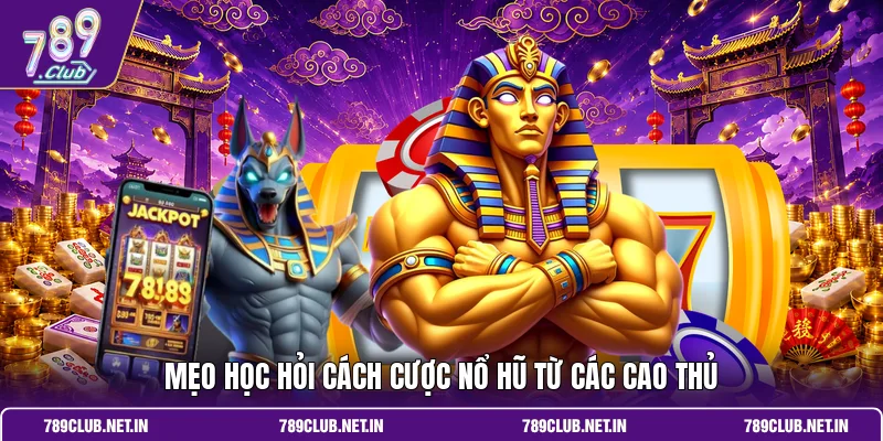 Mẹo học hỏi cách cược nổ hũ từ các cao thủ